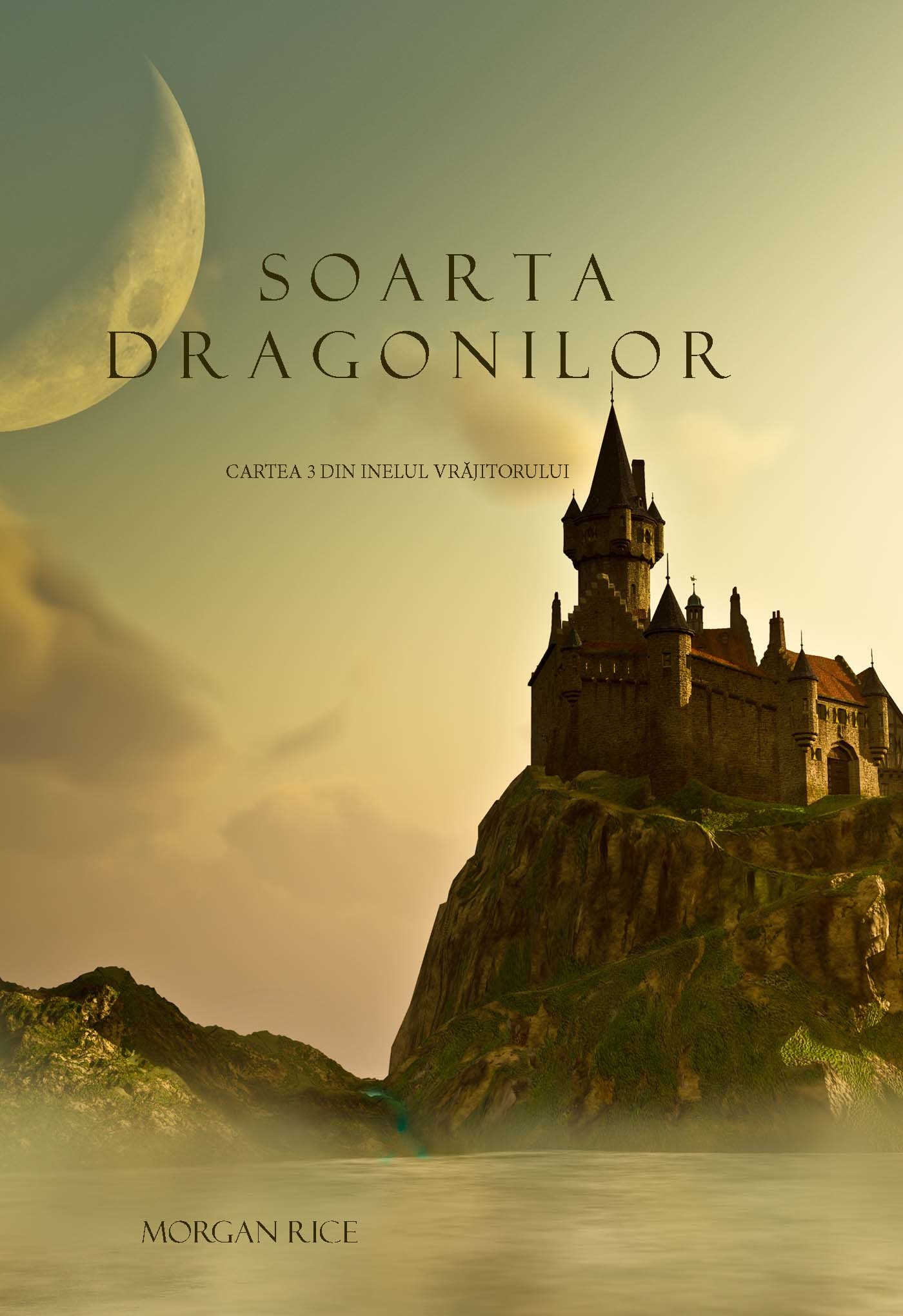 читать Soarta Dragonilor 