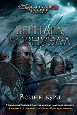 читать Воины бури