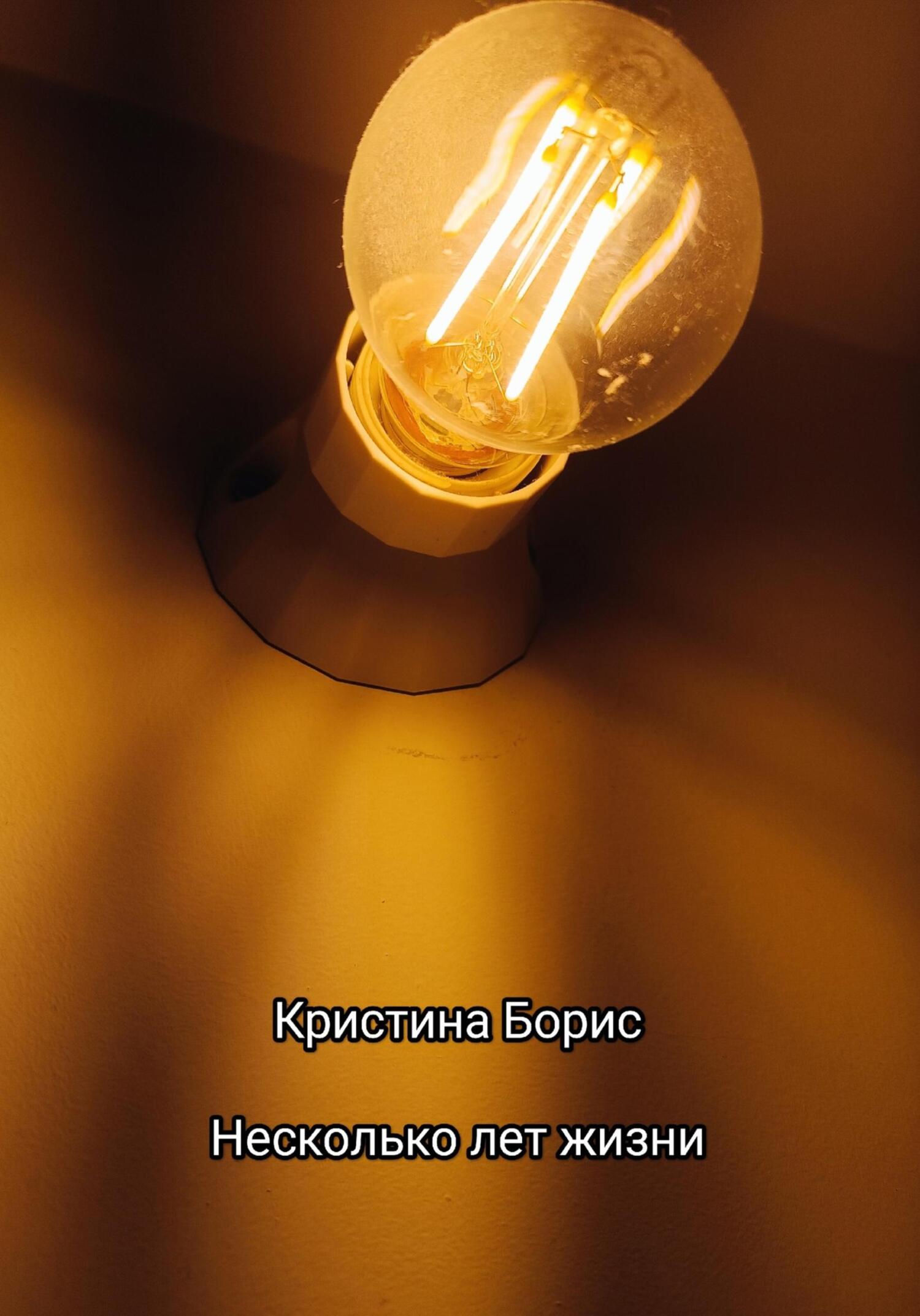 читать Несколько лет жизни