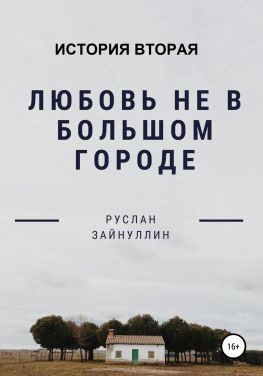 читать Любовь не в большом городе. История вторая