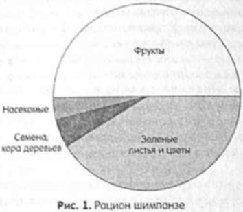 читать Зелень для жизни