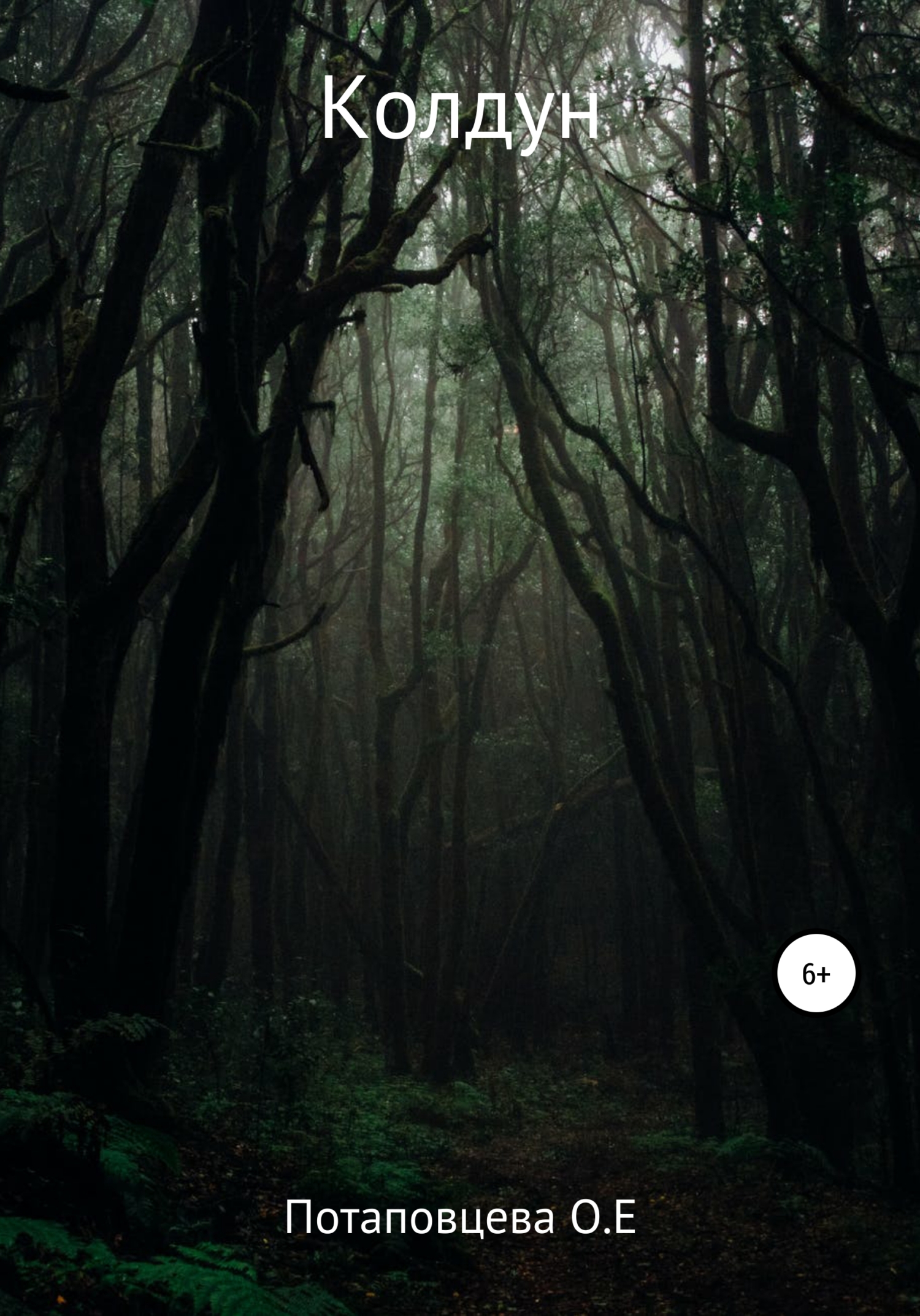 читать Колдун