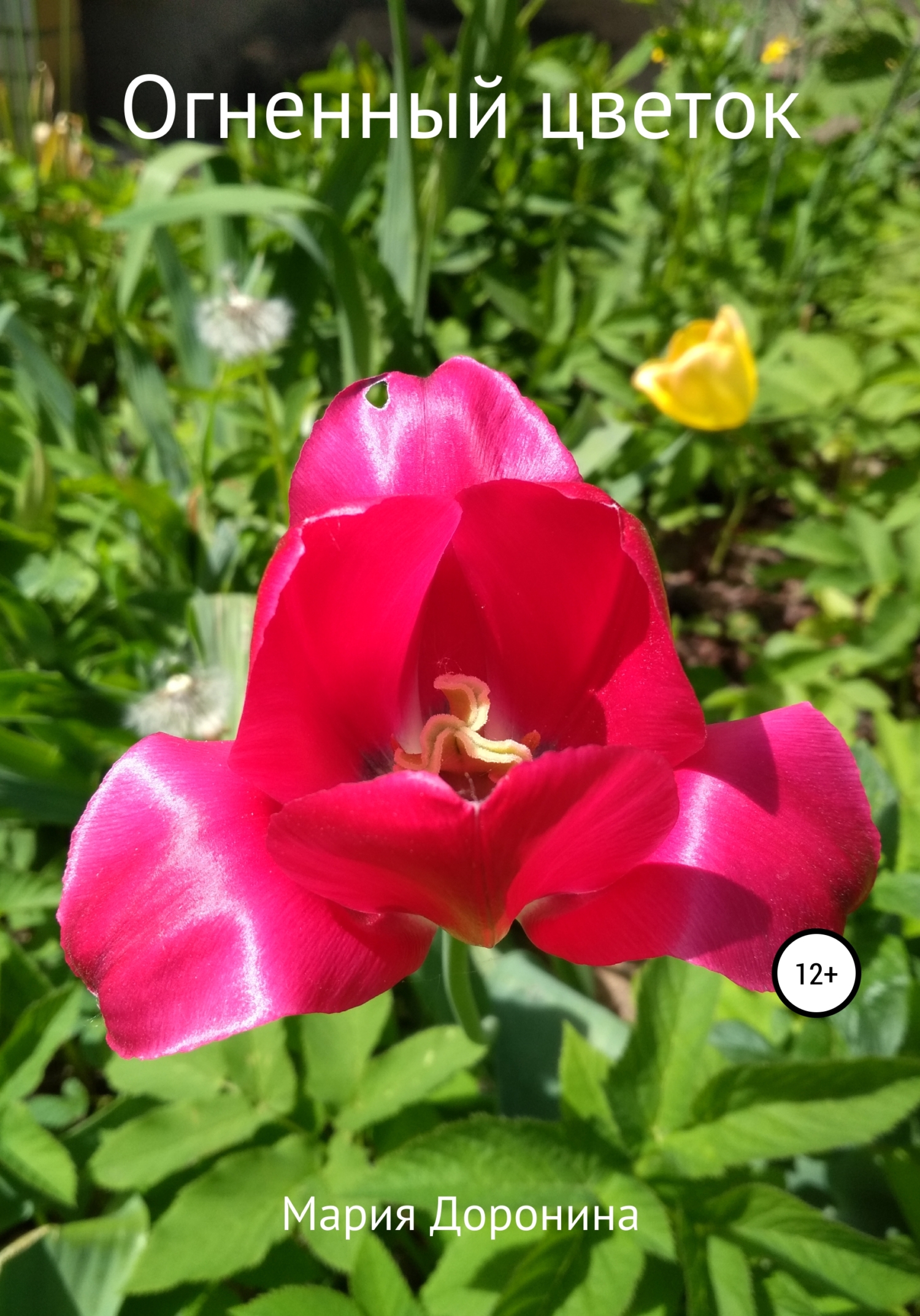 читать Огненный цветок