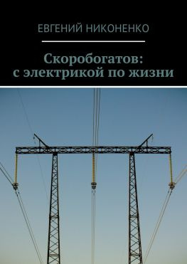 читать Скоробогатов: с электрикой по жизни