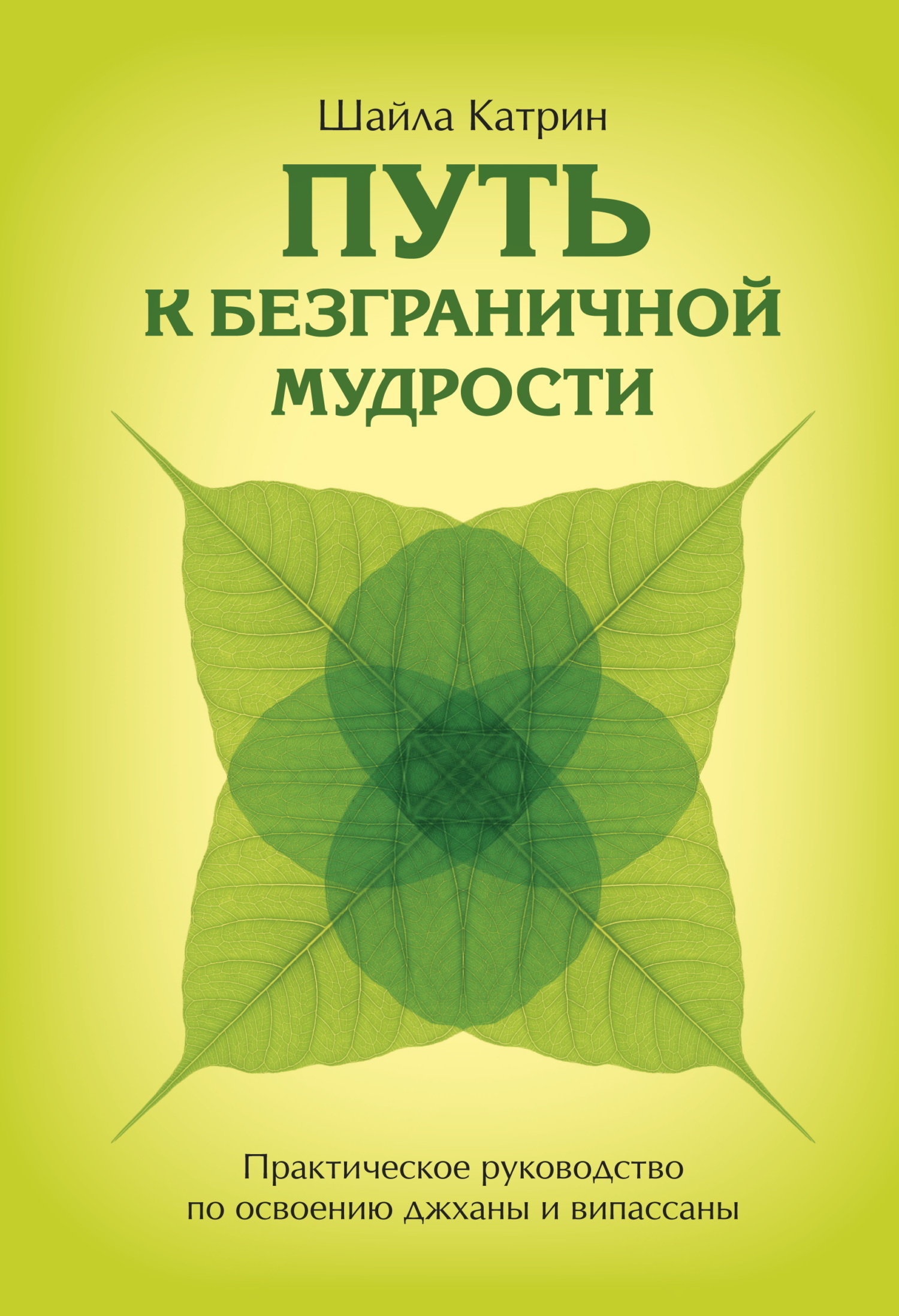 читать Путь к безграничной мудрости. Практическое руководство по освоению джханы и випассаны