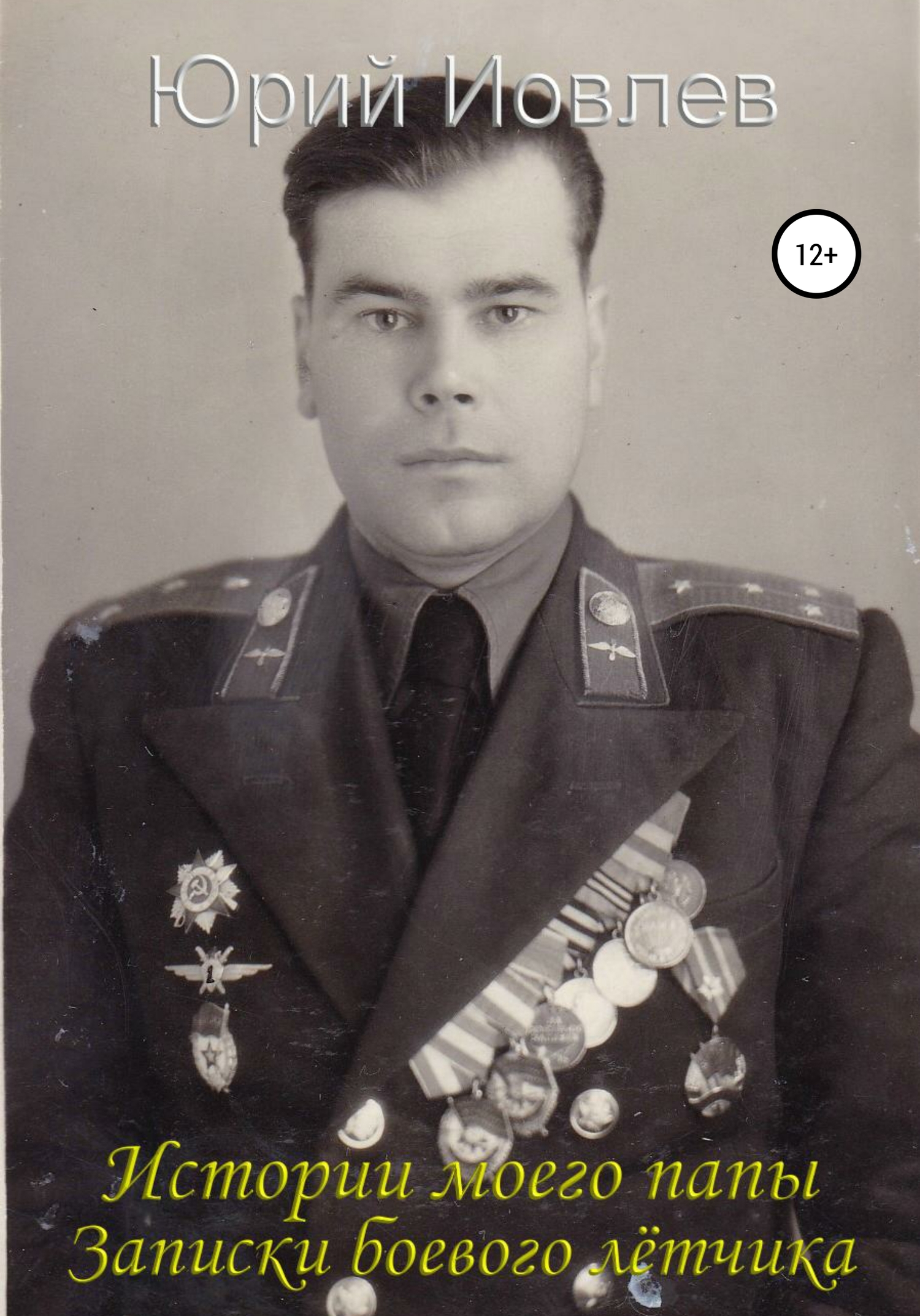 читать Истории моего папы. Записки боевого лётчика