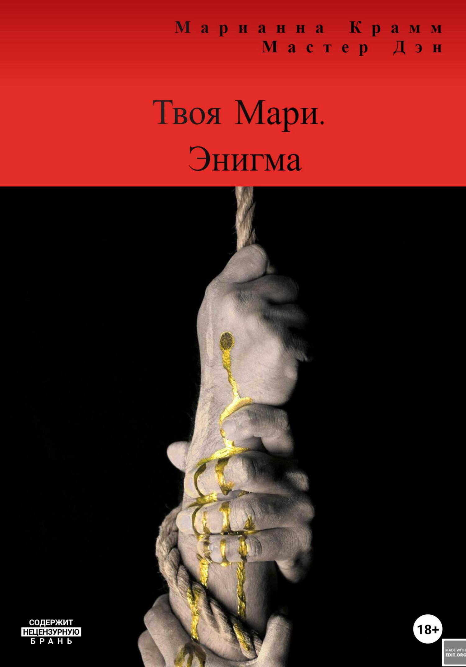 читать Твоя Мари. Энигма