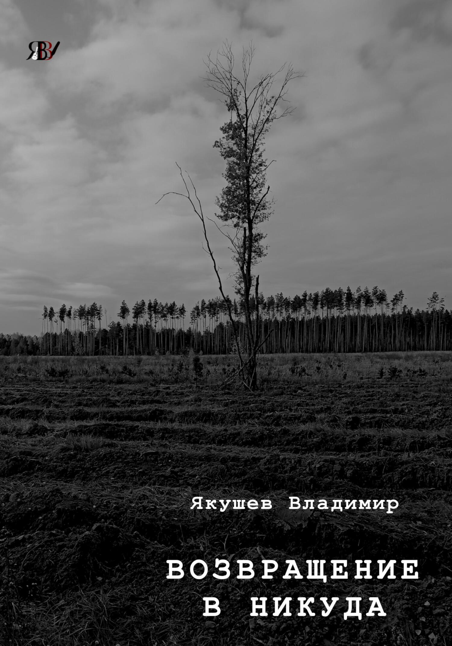 читать Возвращение в никуда