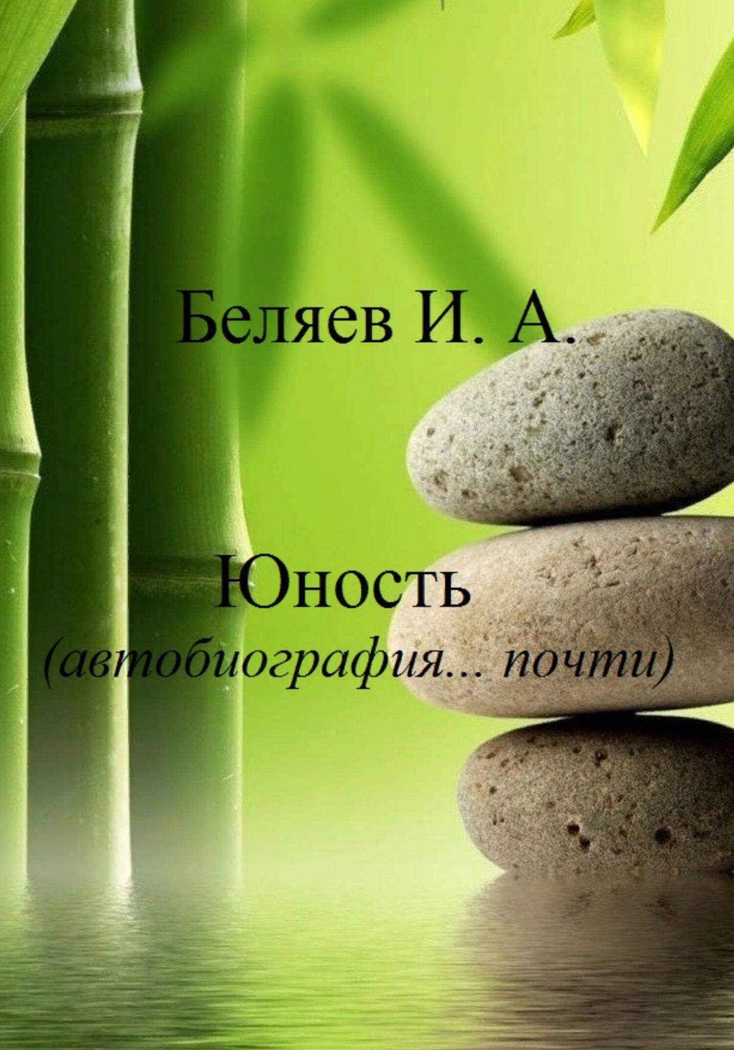 читать Юность. Автобиография… почти. Книга третья. Цикл «Додекаэдр. Серебряный аддон»