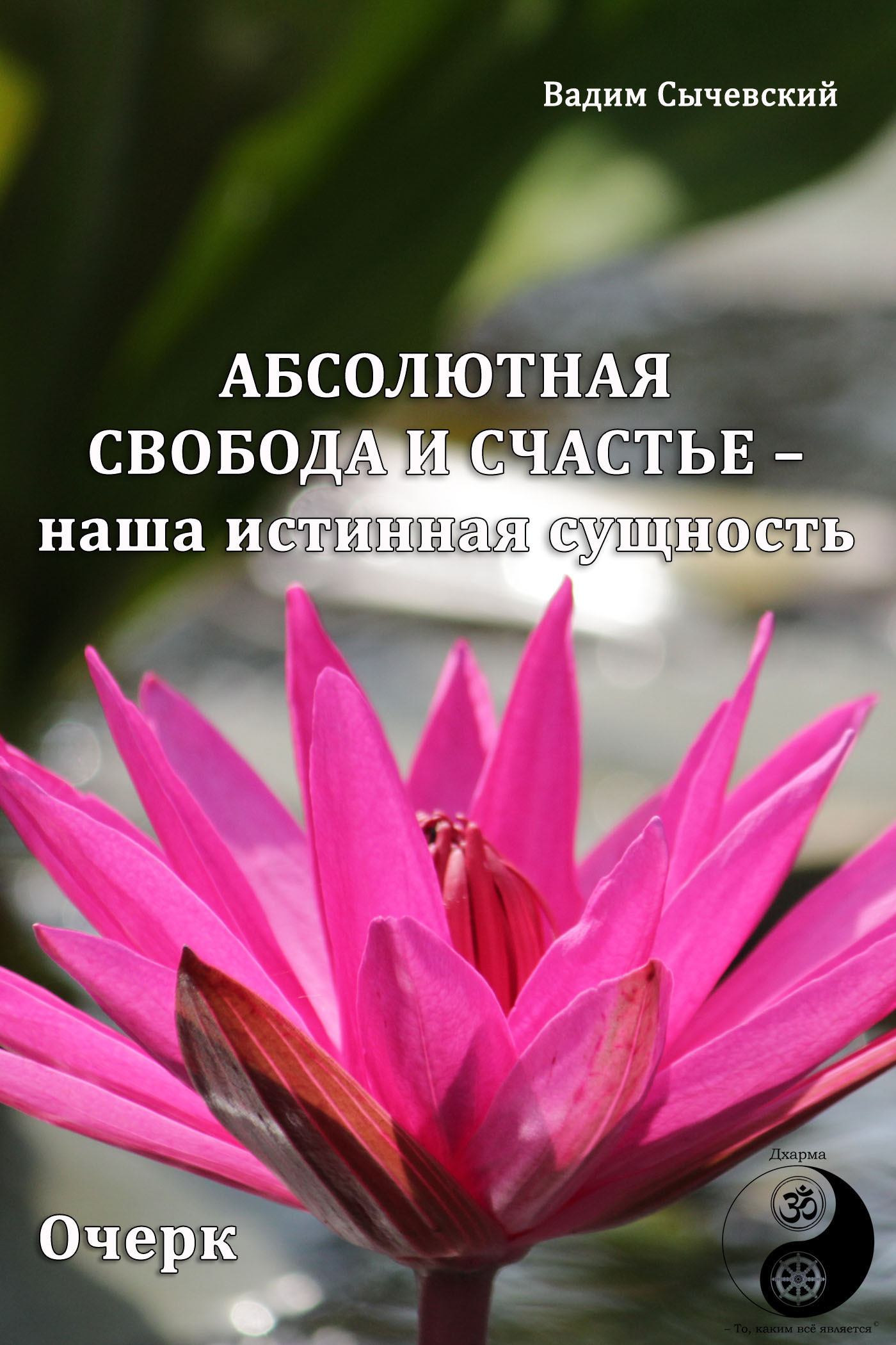 читать Абсолютная свобода и счастье – наша истинная сущность