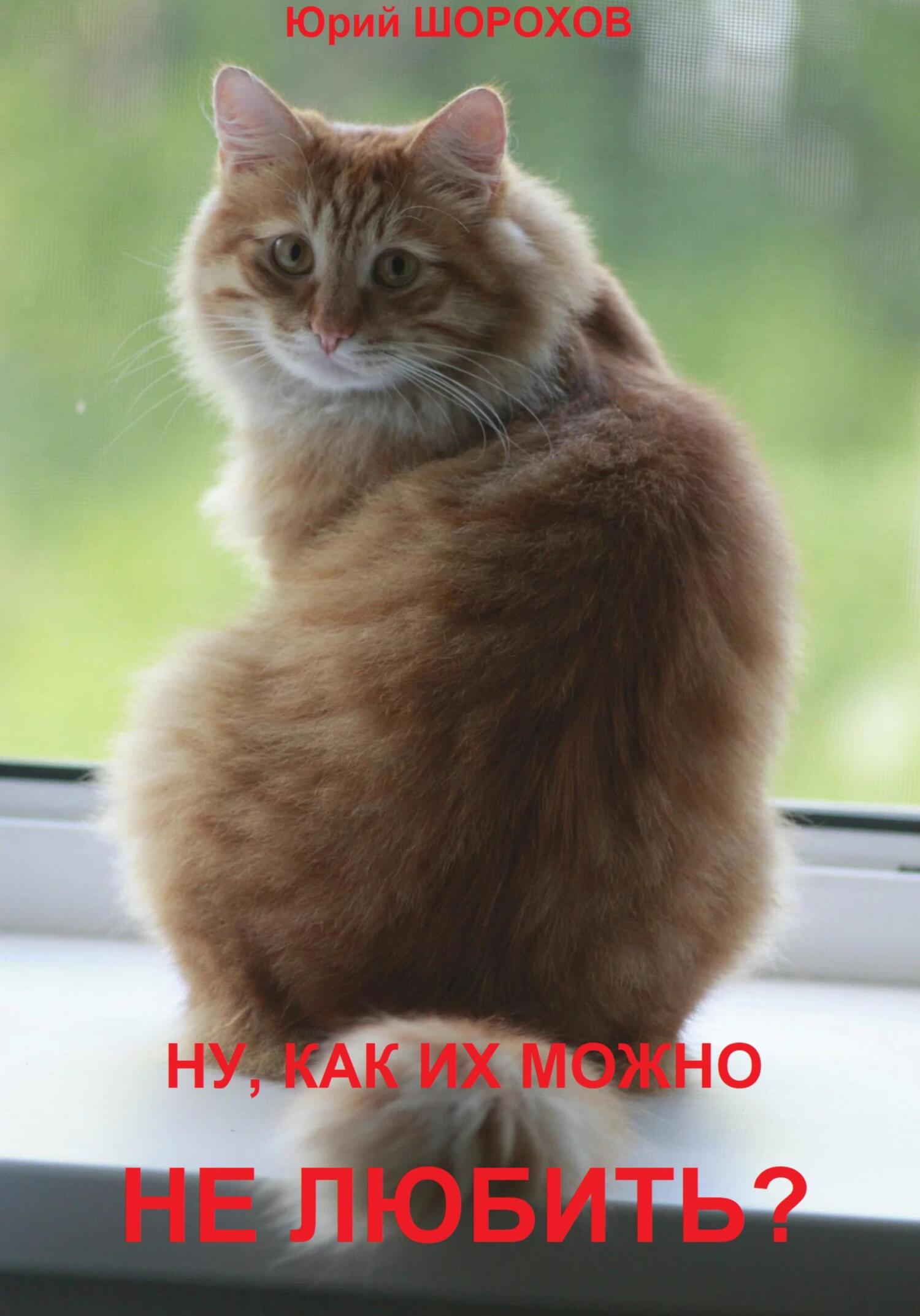 читать Ну, как их можно не любить?