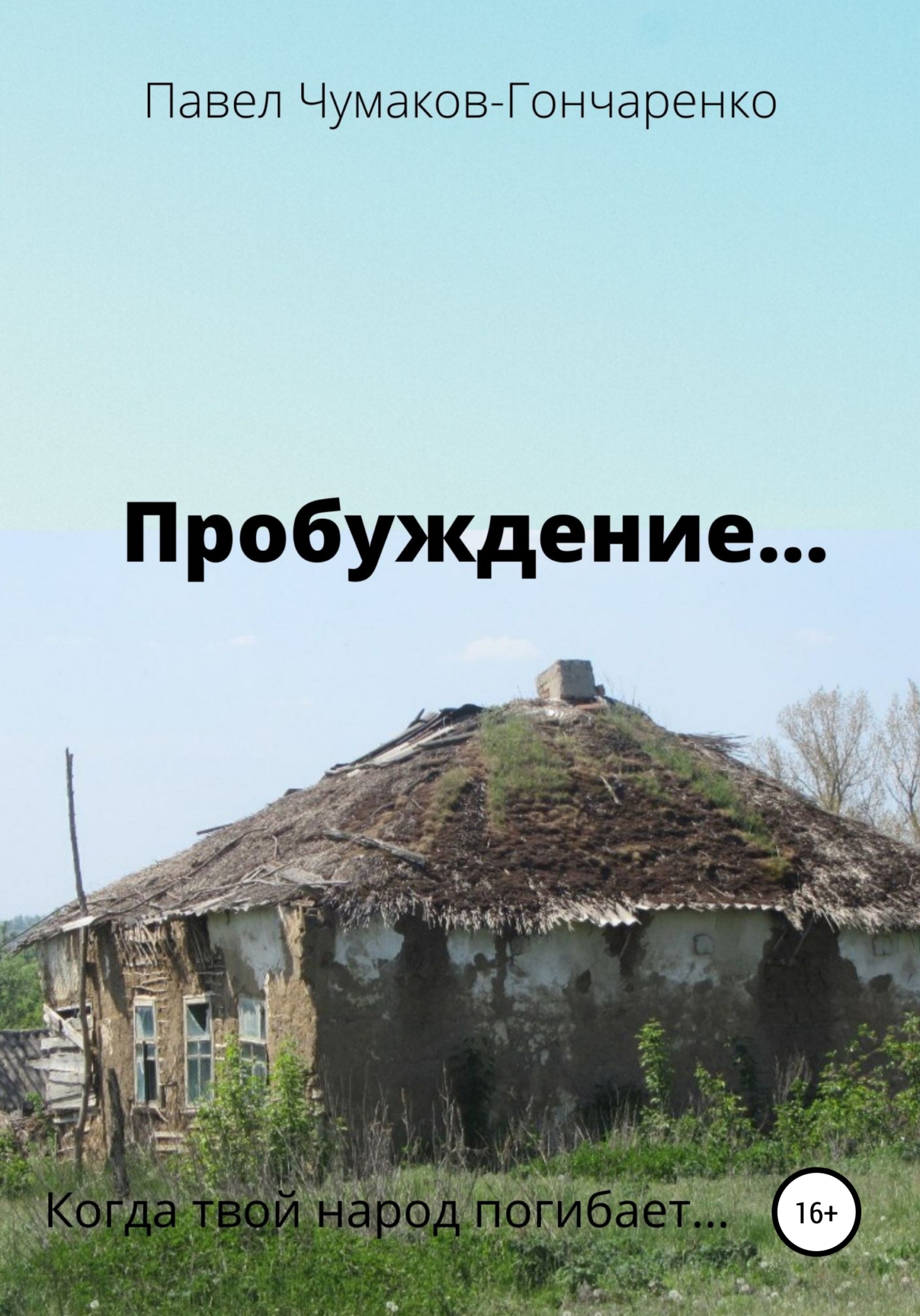 читать Пробуждение…