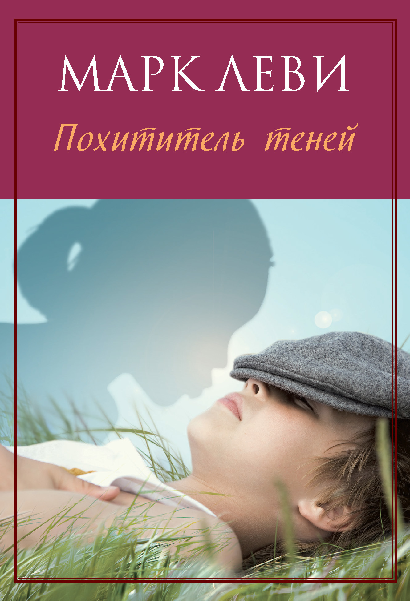читать Похититель теней