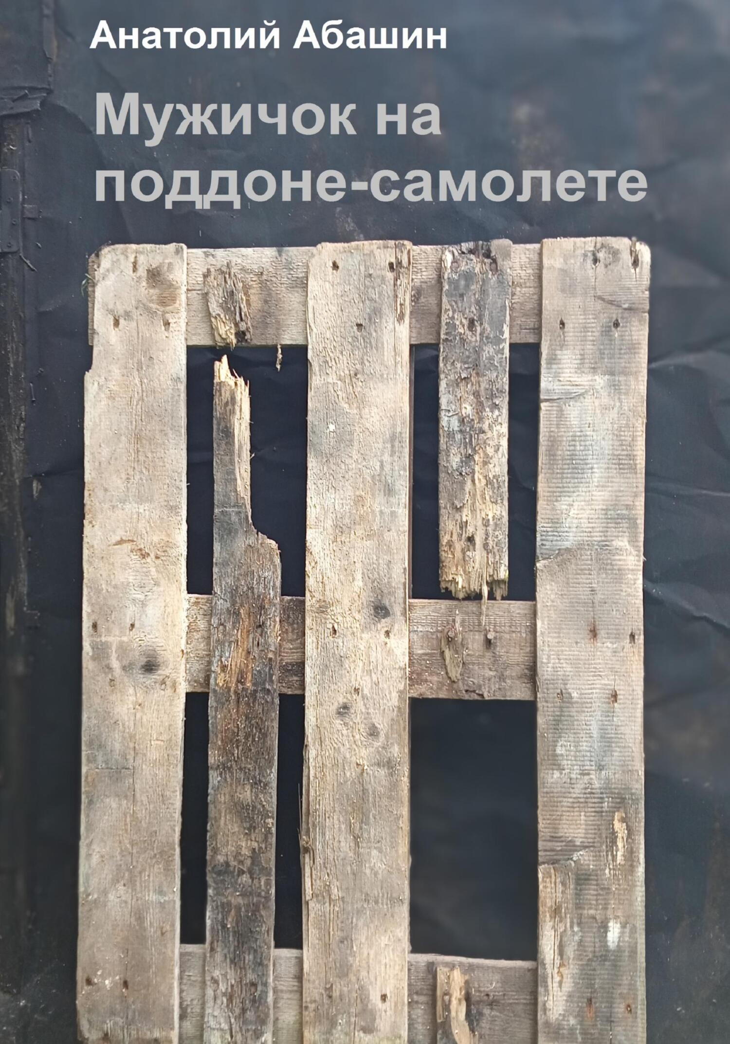 читать Мужичок на поддоне-самолете