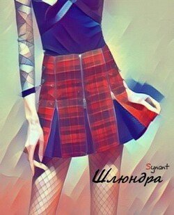 читать Шлюндра