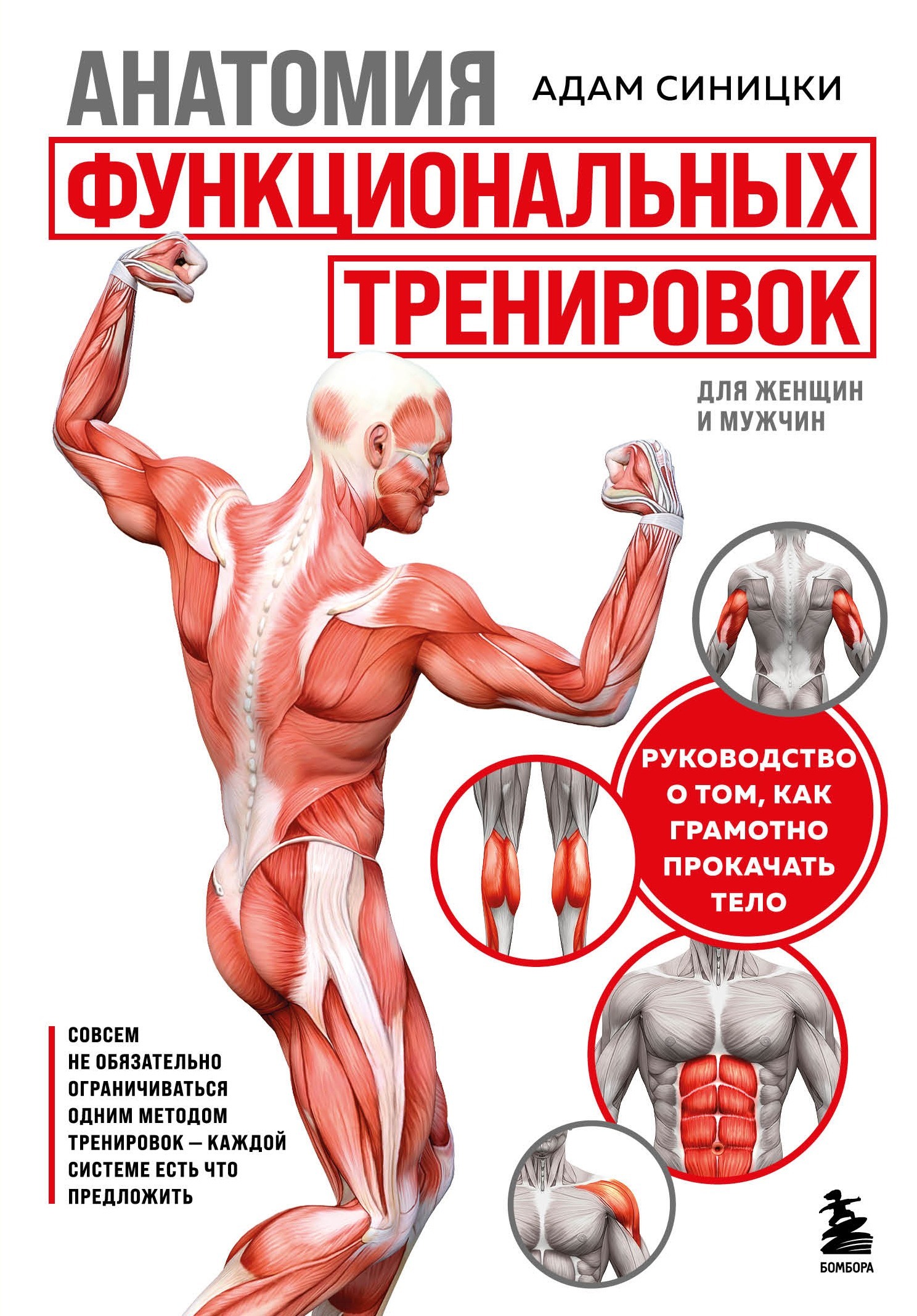 читать Анатомия функциональных тренировок. Руководство о том, как грамотно прокачать тело