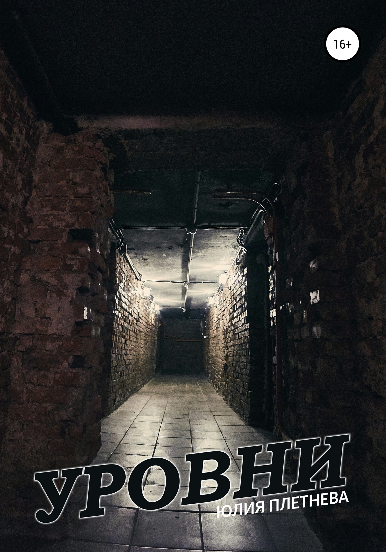 читать Уровни