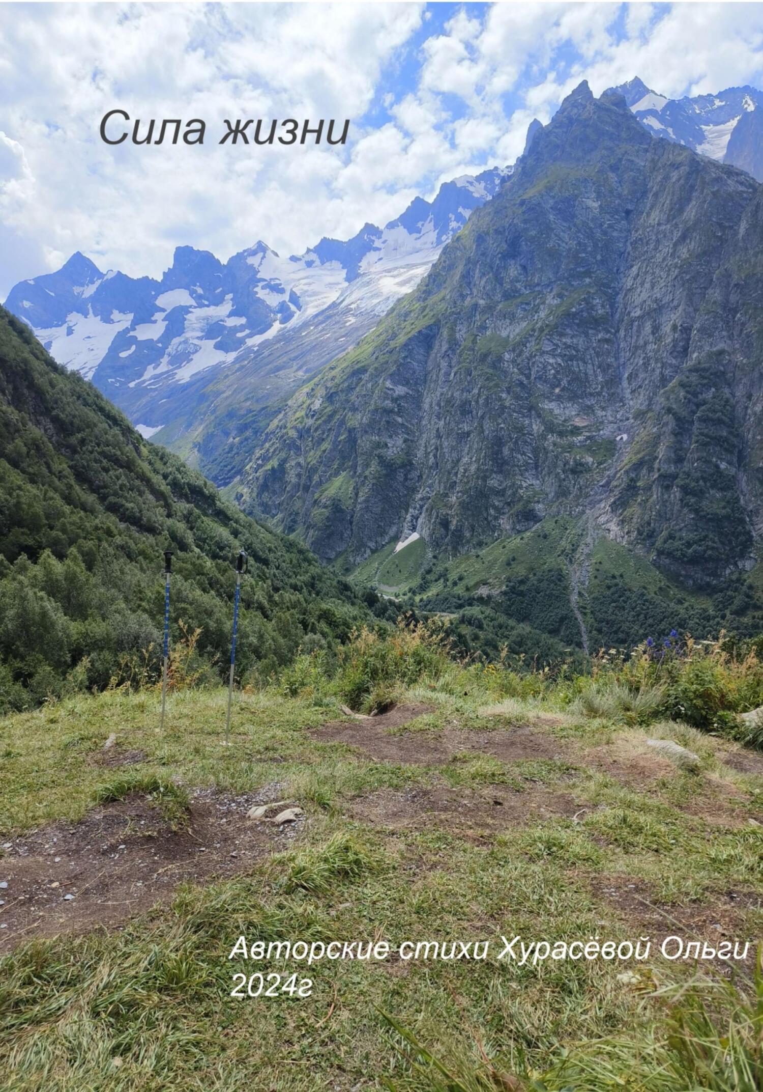 читать Сила жизни