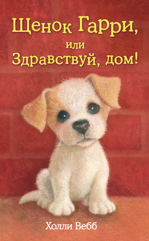 читать Щенок Гарри, или Здравствуй, дом!