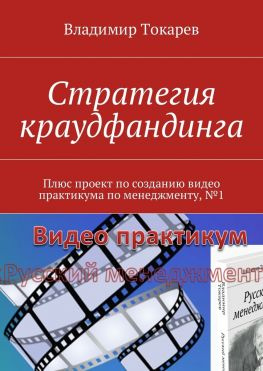 читать Стратегия краудфандинга. Плюс проект по созданию видео практикума по менеджменту, 1