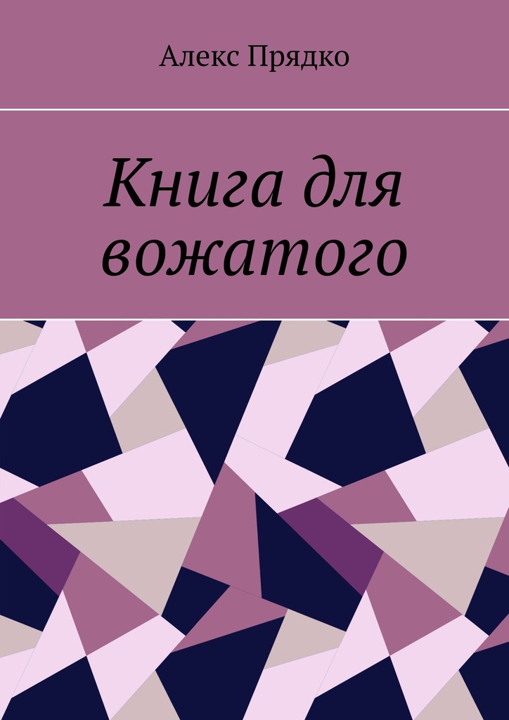 читать Книга для вожатого
