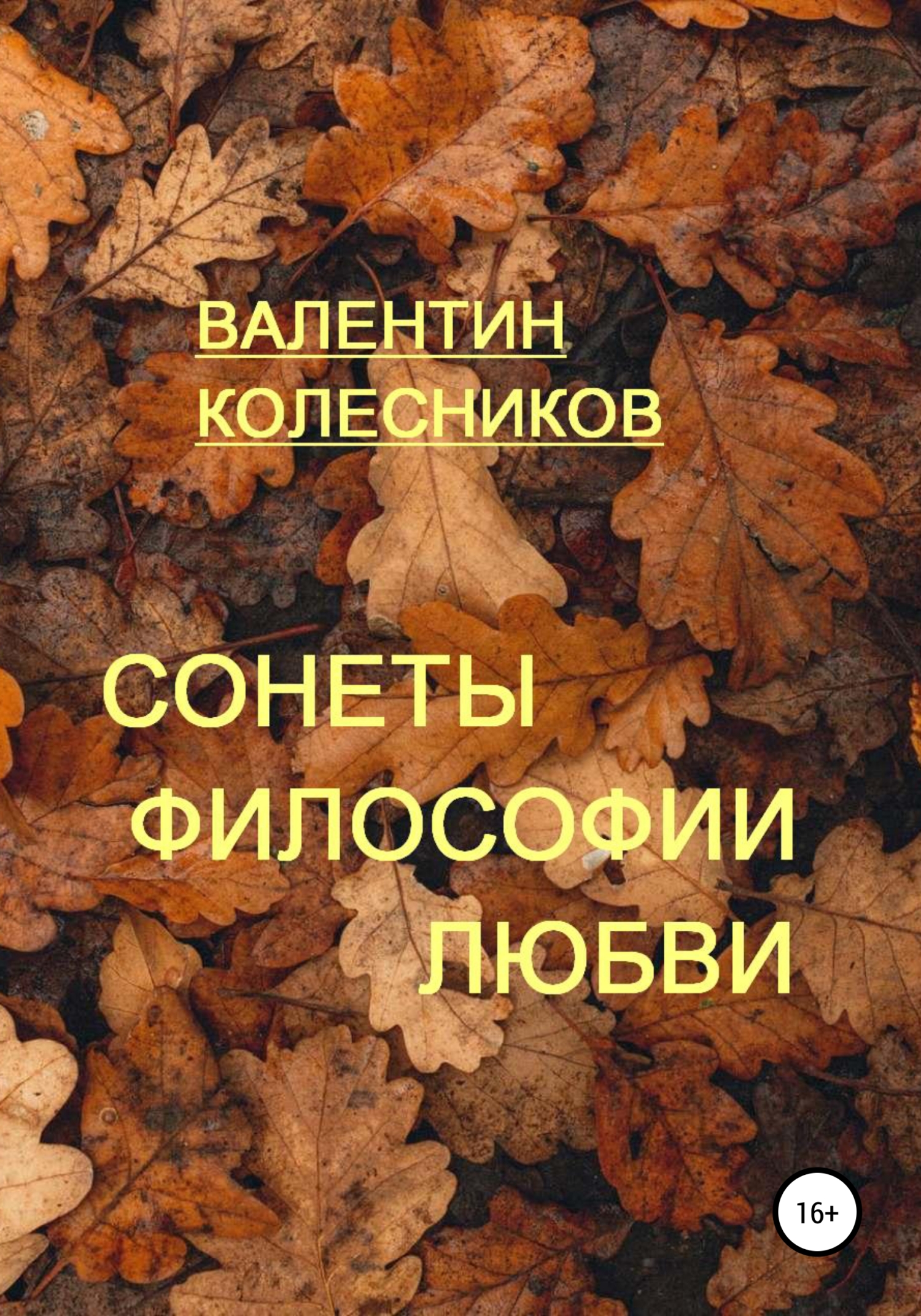 читать Сонеты философии любви