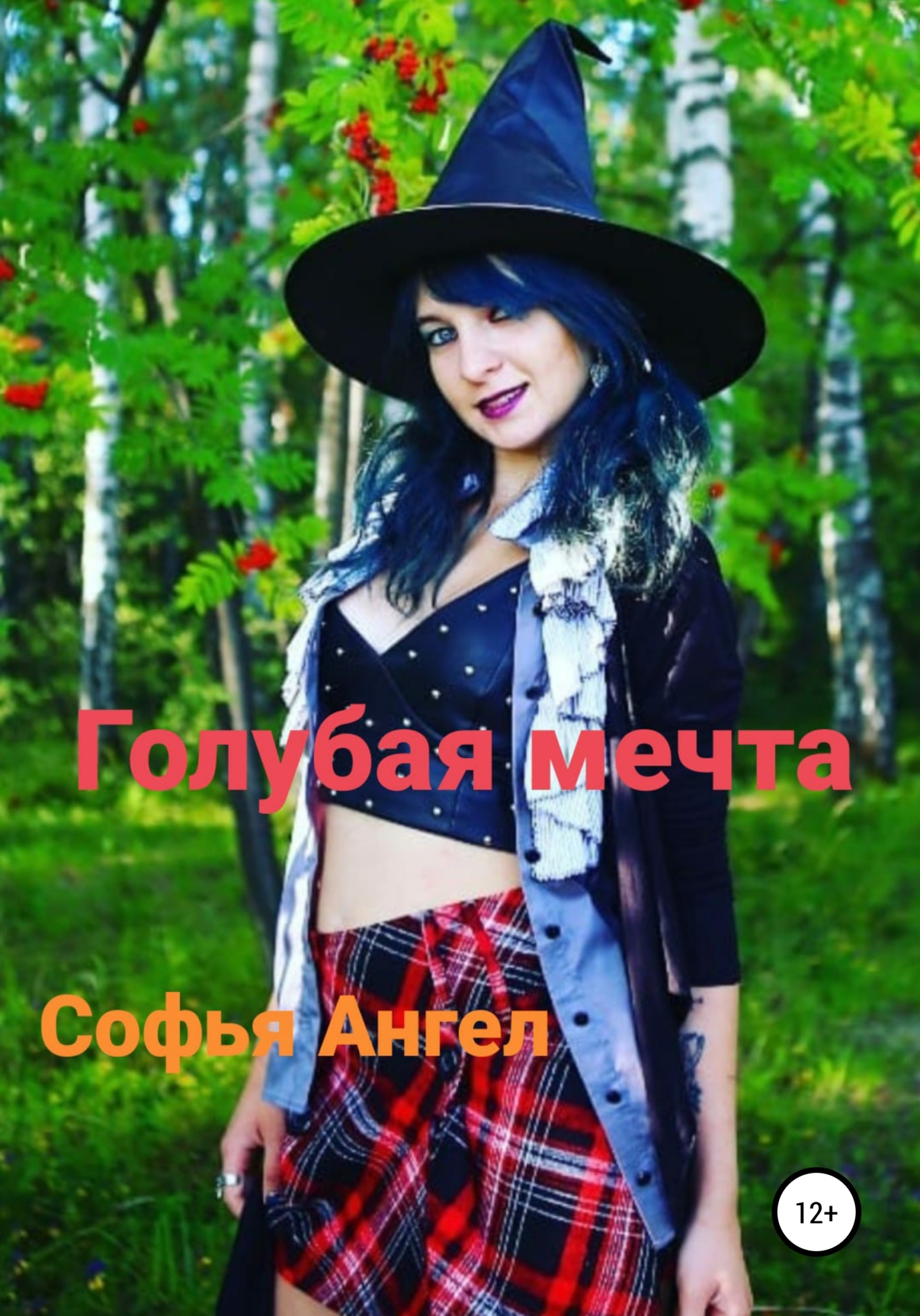 читать Голубая мечта