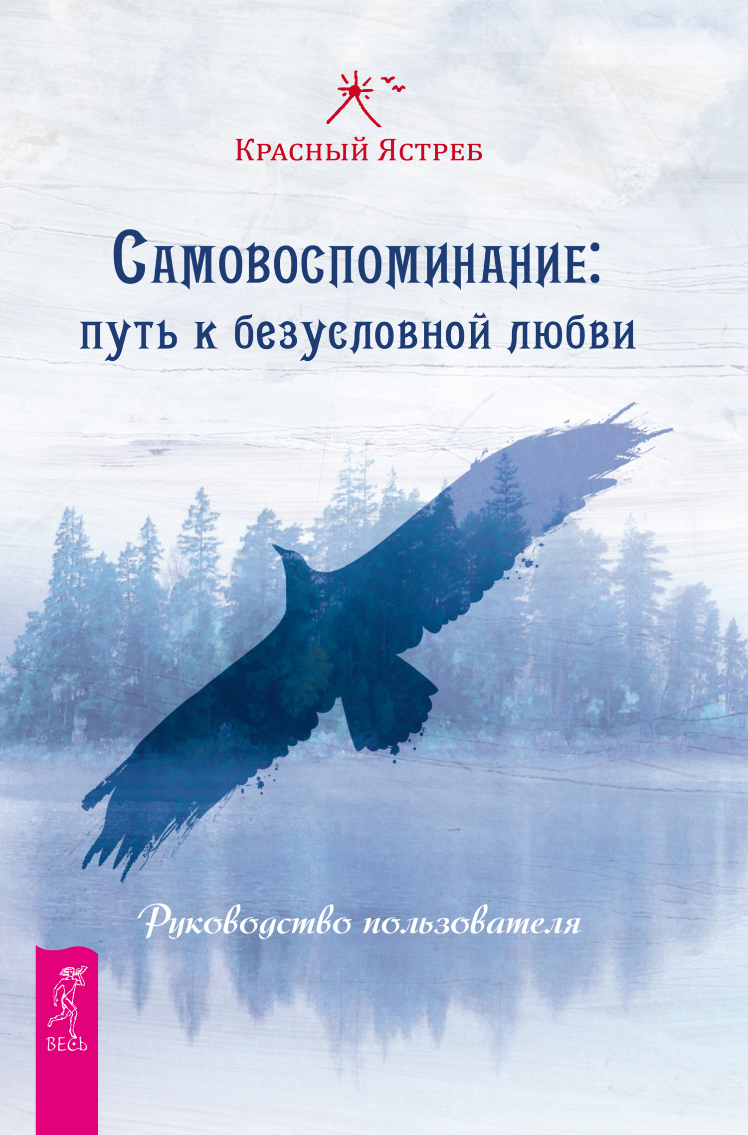 читать Самовоспоминание: путь к безусловной любви. Руководство пользователя