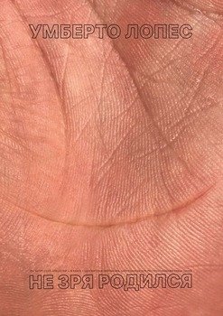 читать Не зря родился. Сборник