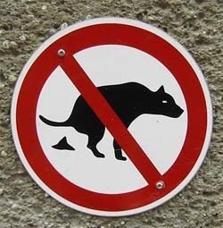 читать Люди против собак: кто кого?