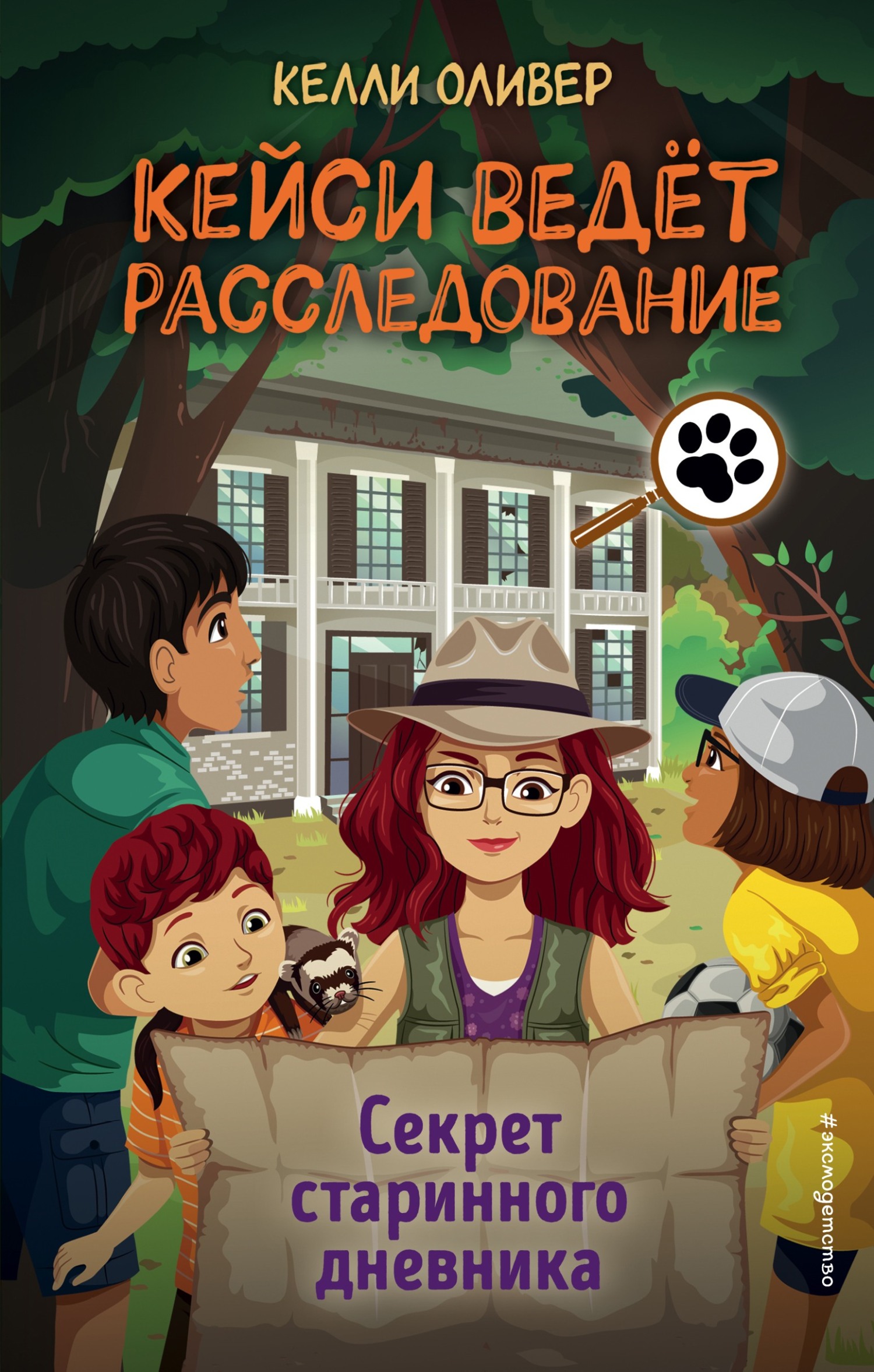читать Секрет старинного дневника