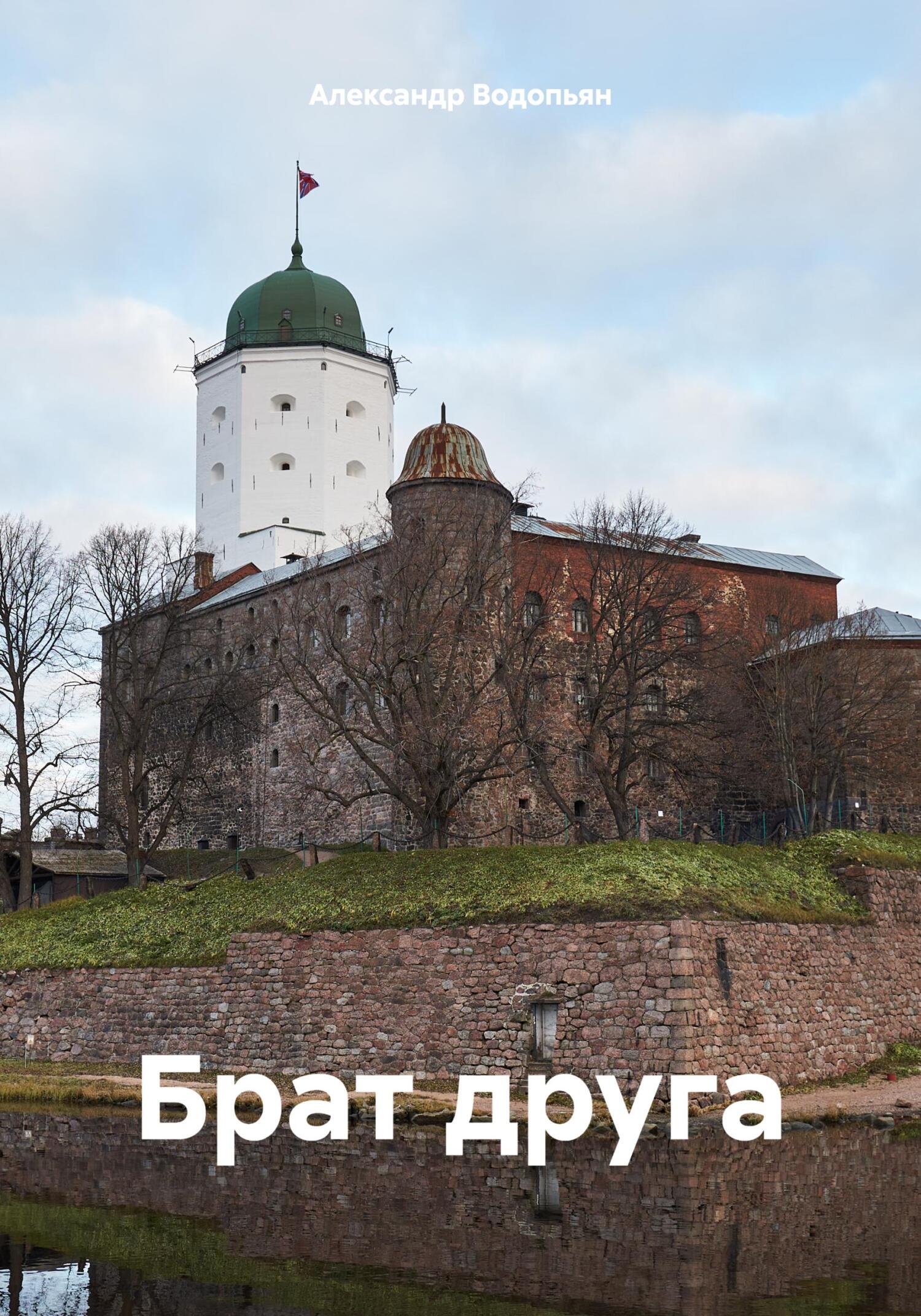 читать Брат друга