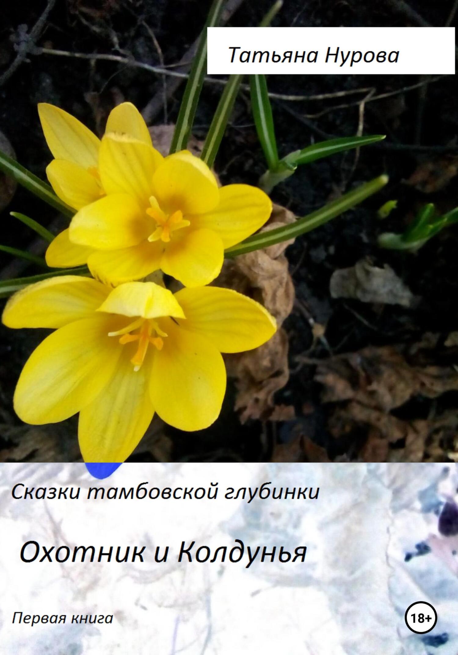читать Сказки тамбовской глубинки. Книга первая. Охотник и Колдунья