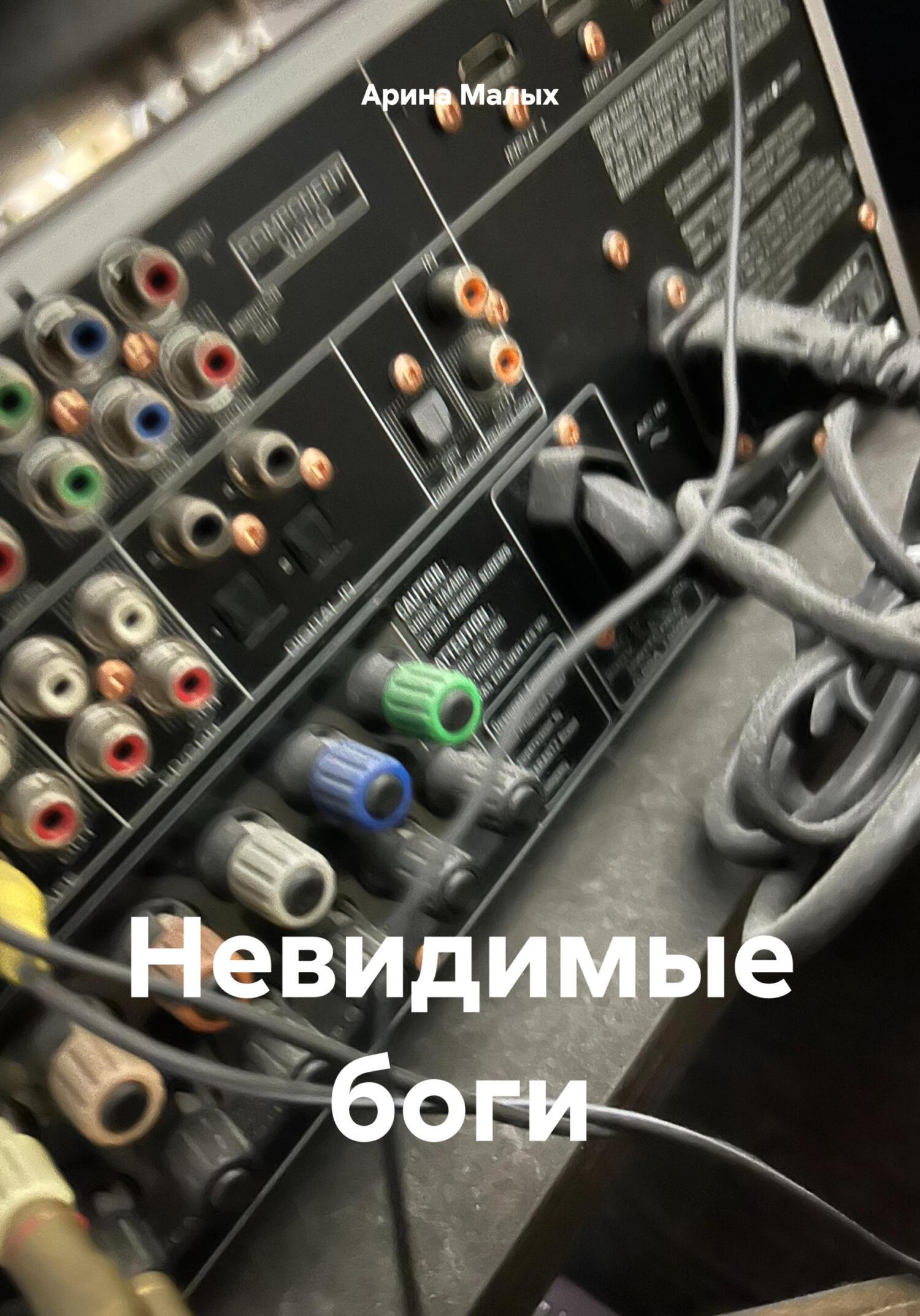 читать Невидимые боги