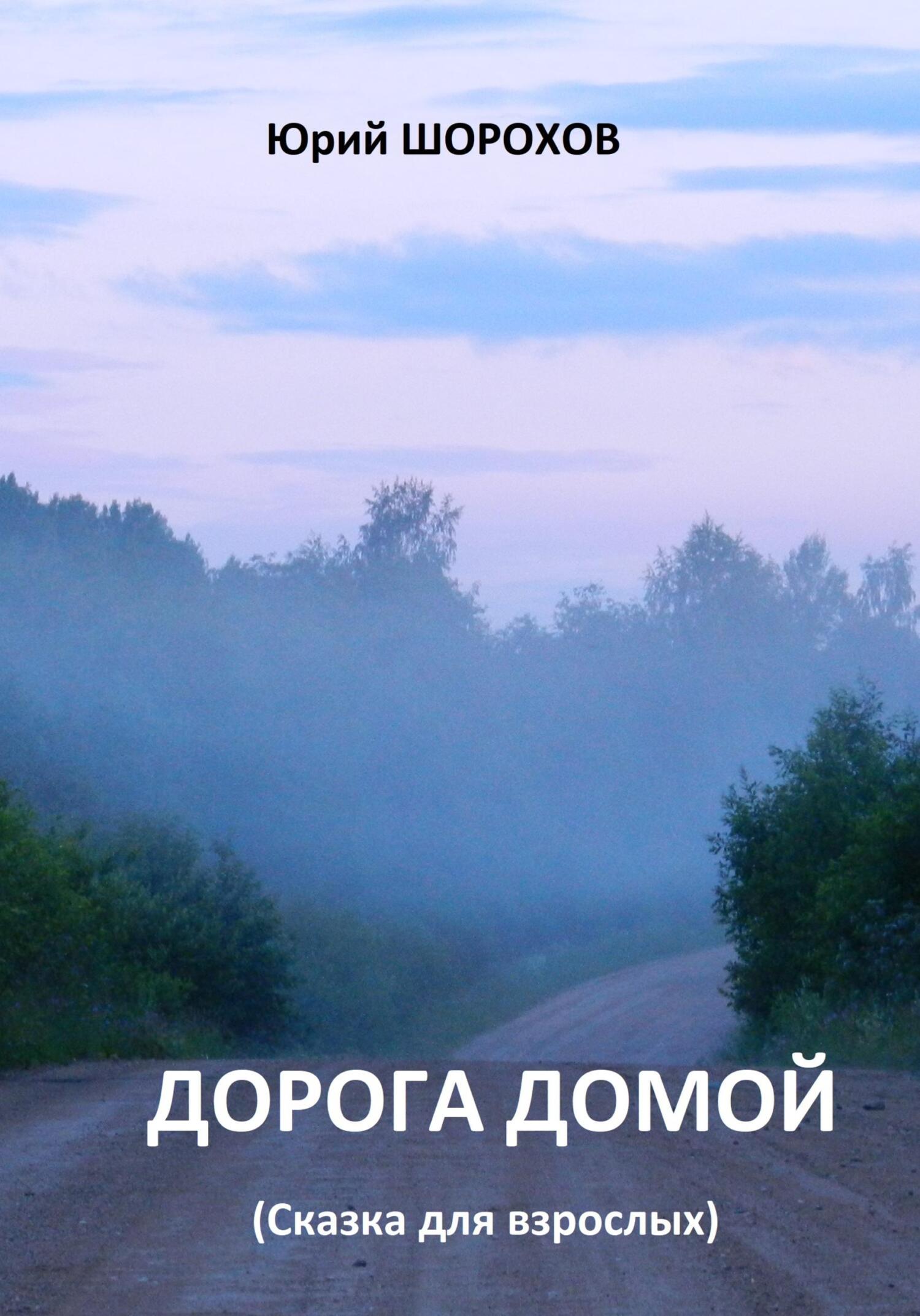 читать Дорога домой