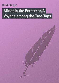 читать Afloat in the Forest: or, A Voyage among the Tree-Tops