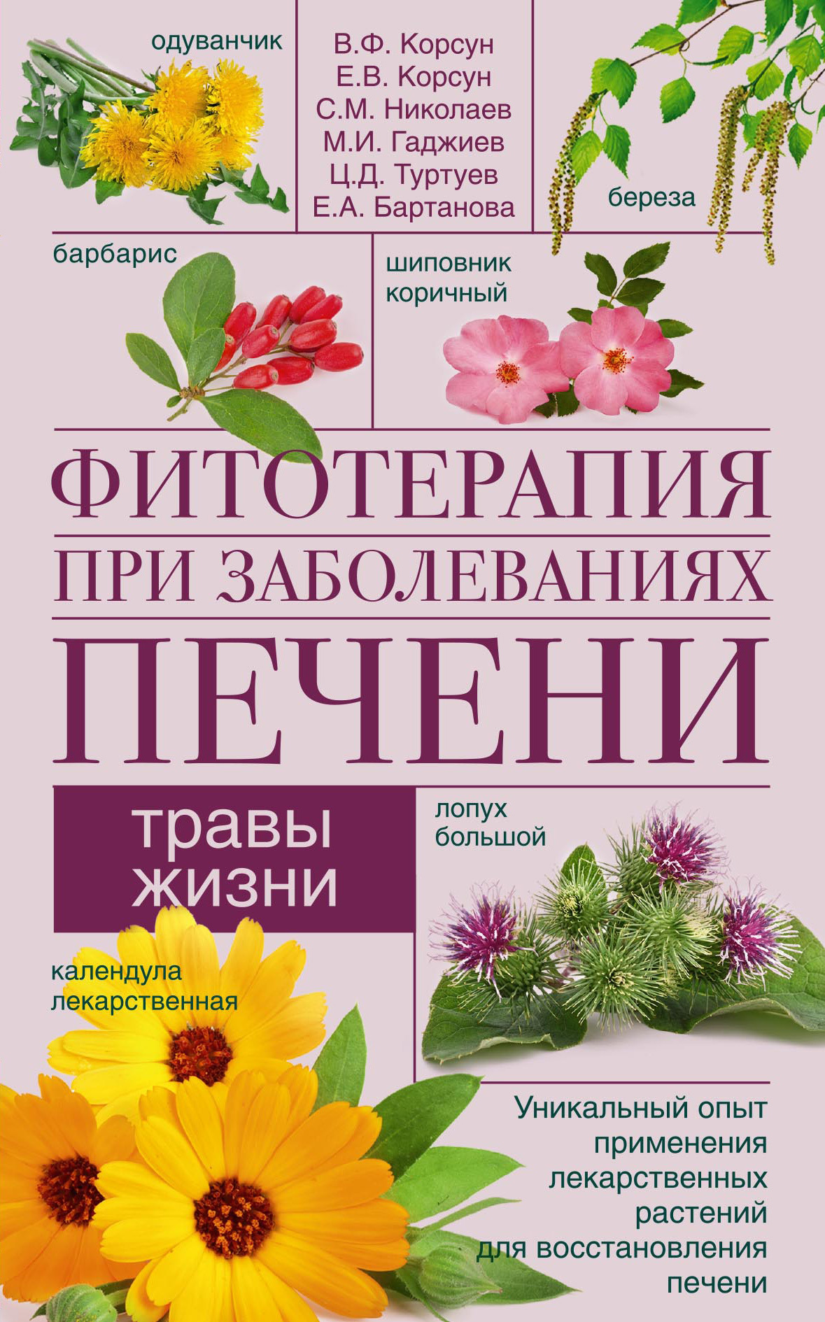 читать Фитотерапия при заболеваниях печени. Травы жизни