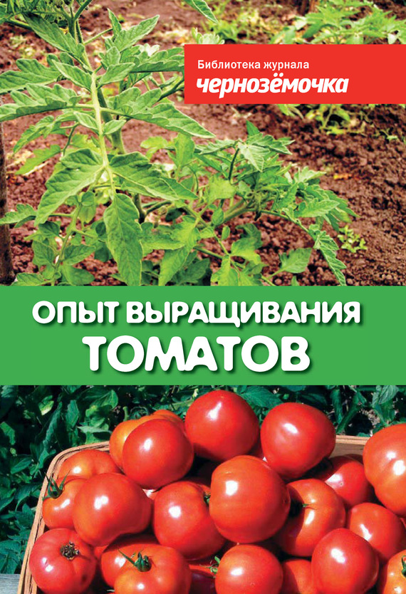 читать Опыт выращивания томатов