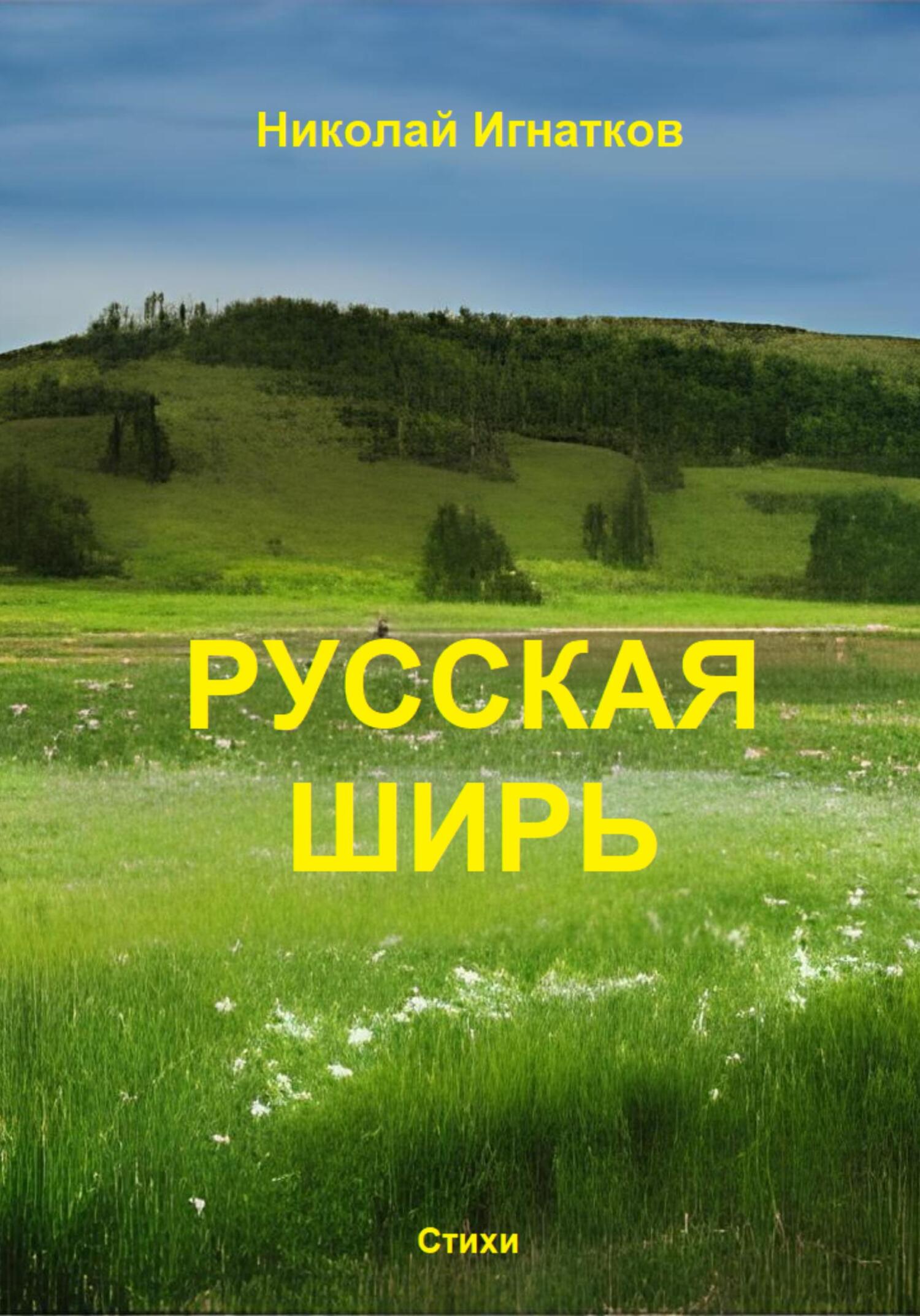 читать Русская ширь