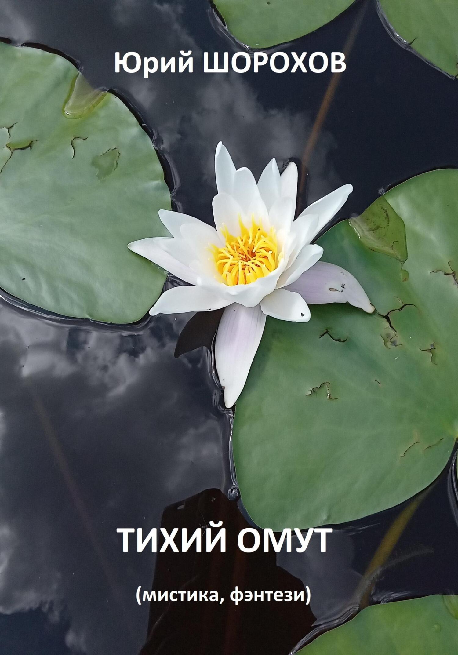 читать Тихий омут