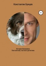 читать История Вениамина Пистолетова, частного детектива