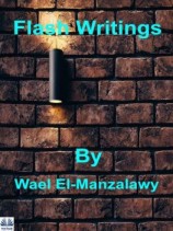 читать Flash Writings