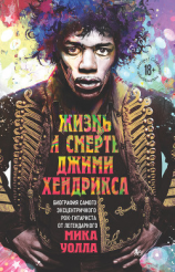 читать Жизнь и смерть Джими Хендрикса. Биография самого эксцентричного рок-гитариста от легендарного Мика Уолла