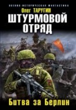 читать Штурмовой отряд. Битва за Берлин