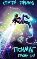 читать Проба Сил