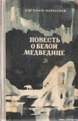 читать Пират