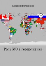читать Роль международных организаций в современной геополитике