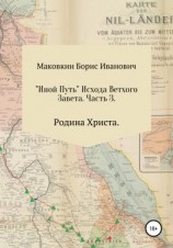 читать «ИНОЙ ПУТЬ» Исхода Ветхого Завета. Часть 3. Родина Христа