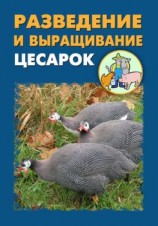 читать Разведение и выращивание цесарок