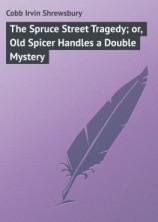 читать The Spruce Street Tragedy; or, Old Spicer Handles a Double Mystery